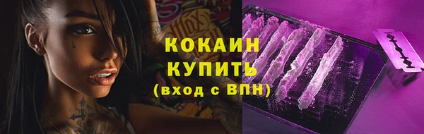 тгк Горняк