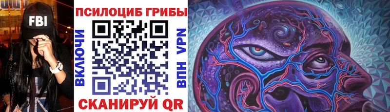 площадка какой сайт  Углич  Галлюциногенные грибы MAGIC MUSHROOMS  что такое  